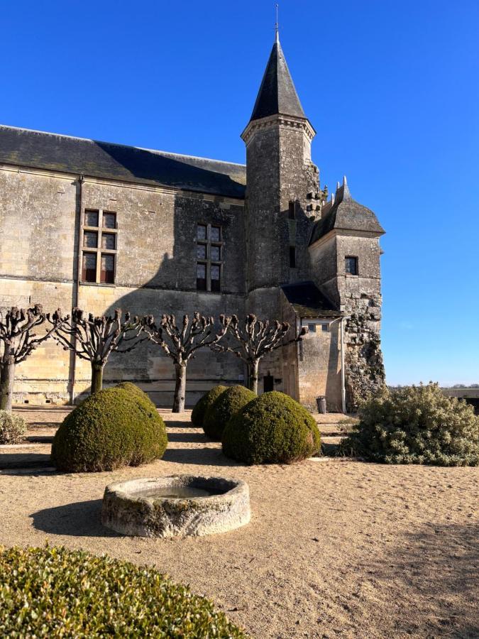 Maisons D'Hotes Du Chateau Au Grand Pressigny Le Grand-Pressigny Exterior foto